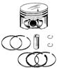 PISTON KIT<BR>Four Stroke Pistons for 2-Cyl. 9.9 & 15HP (1995-2002)<br />
<br />
9.9<br />
...more->