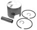PISTON KIT-STBD<BR>SIZE 3.125 + 0.030<br />
ALL PISTONS COME WITH RINGS, PIN, AND RE<br />
...more->