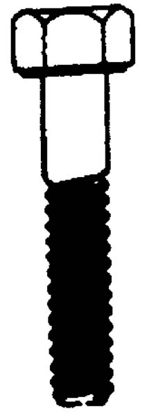 SCREW