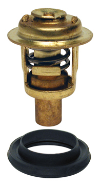 THERMOSTAT KIT