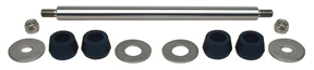 P.T. RAM BUSH KIT