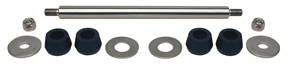P.T. RAM BUSH KIT