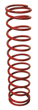 VALVE SPRING
