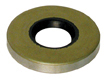 OIL SEAL