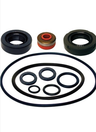GEARCASE SEAL KIT